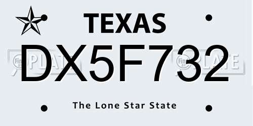 DX5F732 Texas License Plate