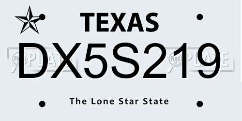 DX5S219 Texas License Plate
