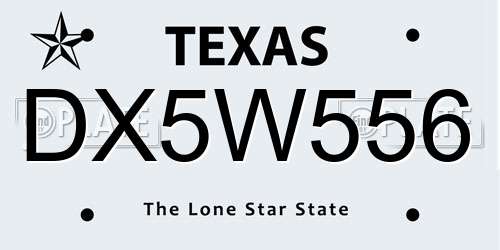 DX5W556 Texas License Plate