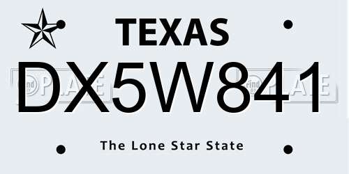 DX5W841 Texas License Plate