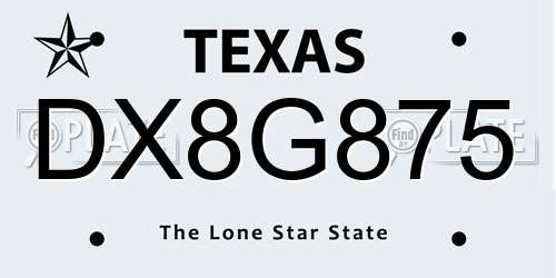 DX8G875 Texas License Plate