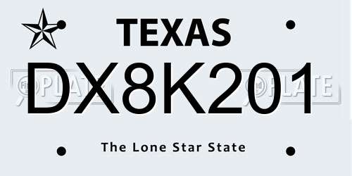 DX8K201 Texas License Plate
