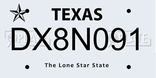 DX8N091 Texas License Plate