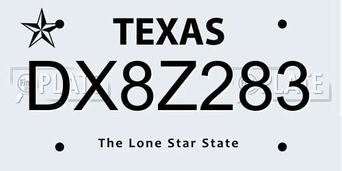 DX8Z283 Texas License Plate