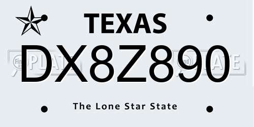 DX8Z890 Texas License Plate