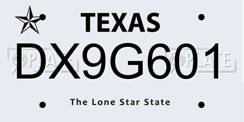 DX9G601 Texas License Plate