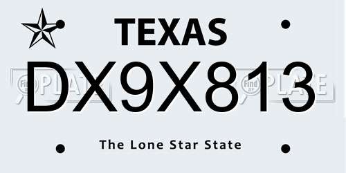 DX9X813 Texas License Plate