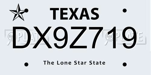 DX9Z719 Texas License Plate