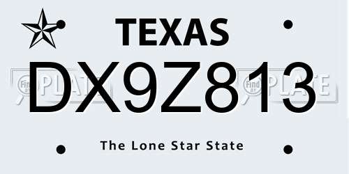 DX9Z813 Texas License Plate