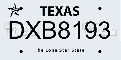 DXB8193 Texas License Plate