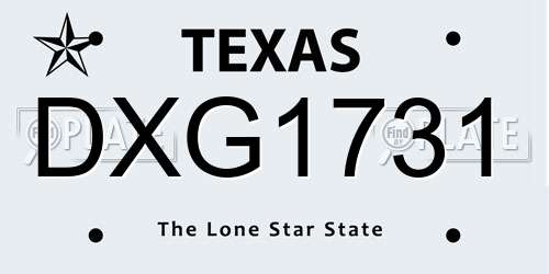 DXG1731 Texas License Plate