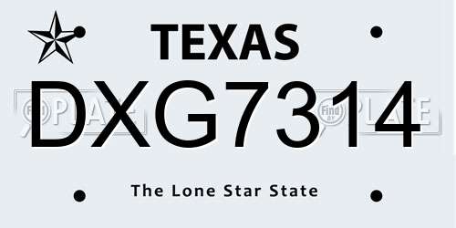 DXG7314 Texas License Plate