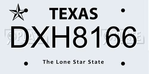 DXH8166 Texas License Plate