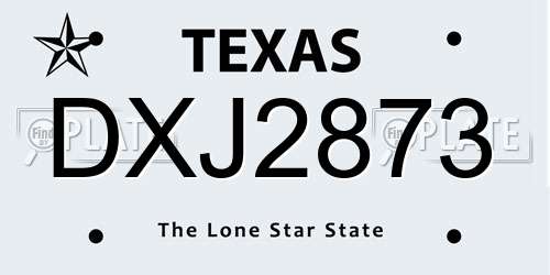 DXJ2873 Texas License Plate
