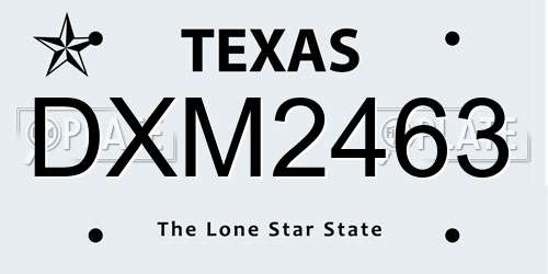 DXM2463 Texas License Plate