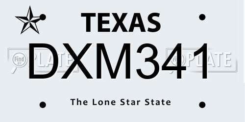 DXM341 Texas License Plate