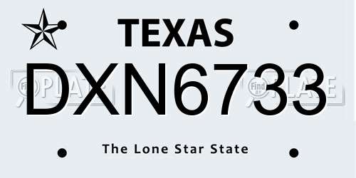 DXN6733 Texas License Plate