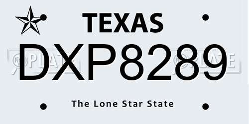 DXP8289 Texas License Plate