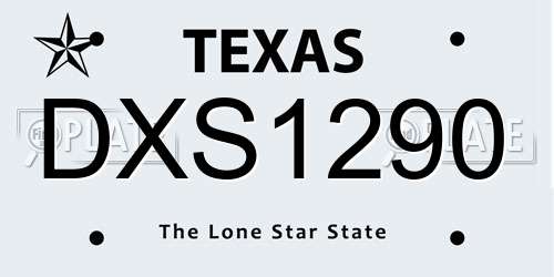 DXS1290 Texas License Plate