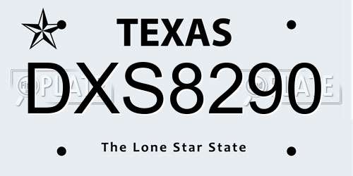 DXS8290 Texas License Plate