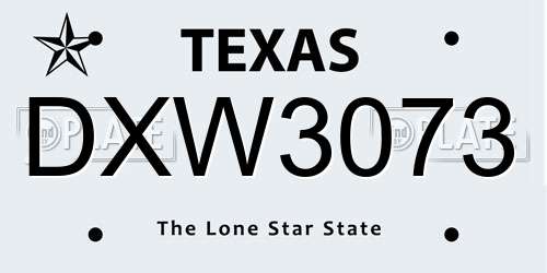 DXW3073 Texas License Plate