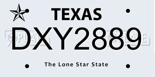 DXY2889 Texas License Plate