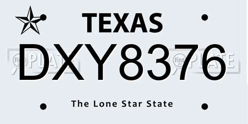 DXY8376 Texas License Plate