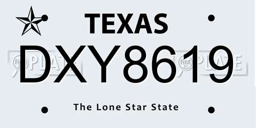 DXY8619 Texas License Plate