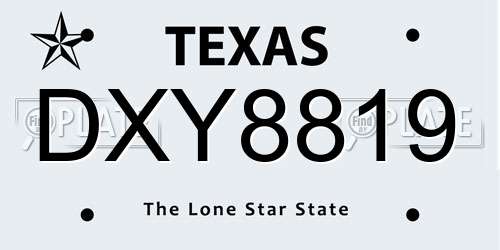 DXY8819 Texas License Plate