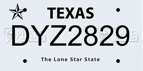 DYZ2829 Texas License Plate