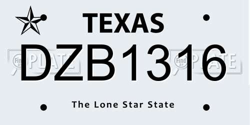 DZB1316 Texas License Plate