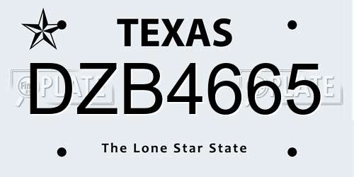 DZB4665 Texas License Plate
