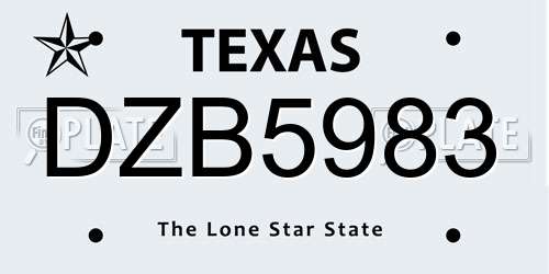 DZB5983 Texas License Plate