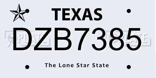 DZB7385 Texas License Plate