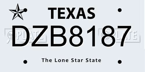 DZB8187 Texas License Plate