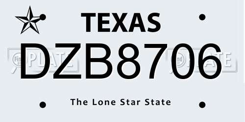 DZB8706 Texas License Plate