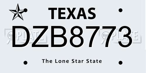 DZB8773 Texas License Plate