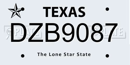 DZB9087 Texas License Plate