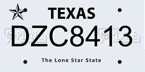 DZC8413 Texas License Plate