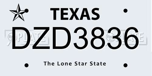 DZD3836 Texas License Plate