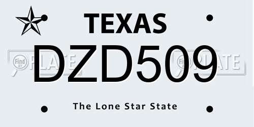 DZD509 Texas License Plate