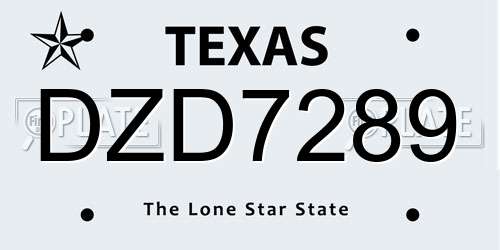 DZD7289 Texas License Plate