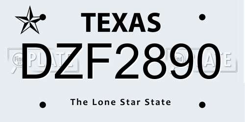 DZF2890 Texas License Plate