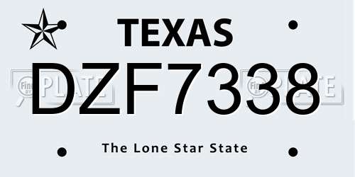 DZF7338 Texas License Plate