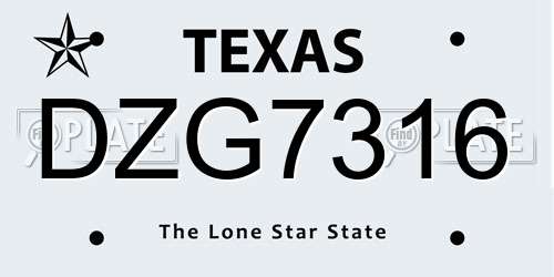 DZG7316 Texas License Plate