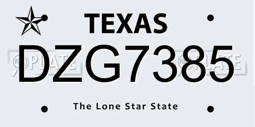 DZG7385 Texas License Plate