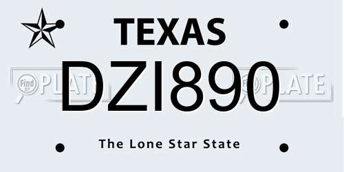 DZI890 Texas License Plate