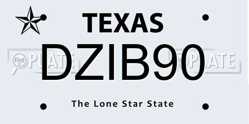 DZIB90 Texas License Plate