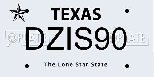 DZIS90 Texas License Plate