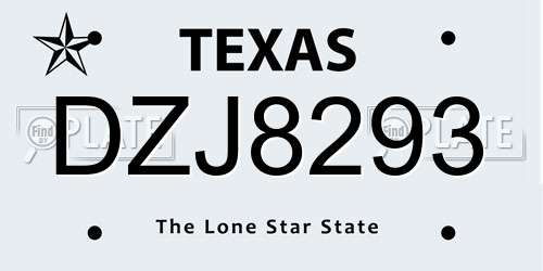 DZJ8293 Texas License Plate